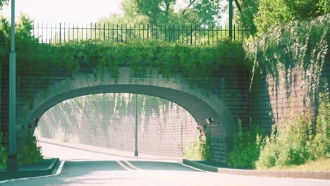 arch-bridge-with-living-bush-branches-in-park